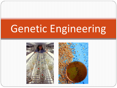 Genetic engener.pdf